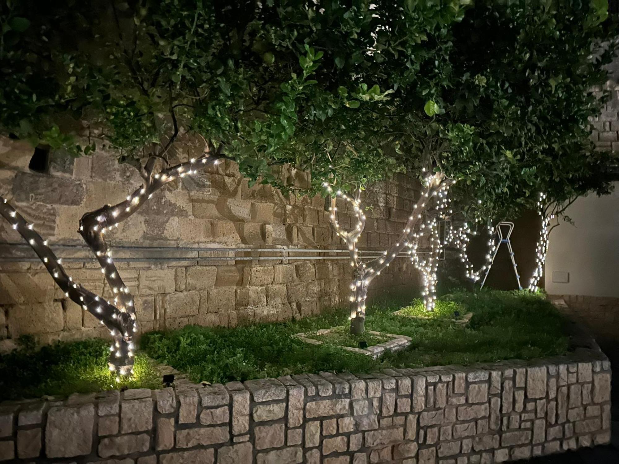 Nikita Casa Dei Limoni Appartamento *
